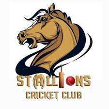 Stallion Cricket Club